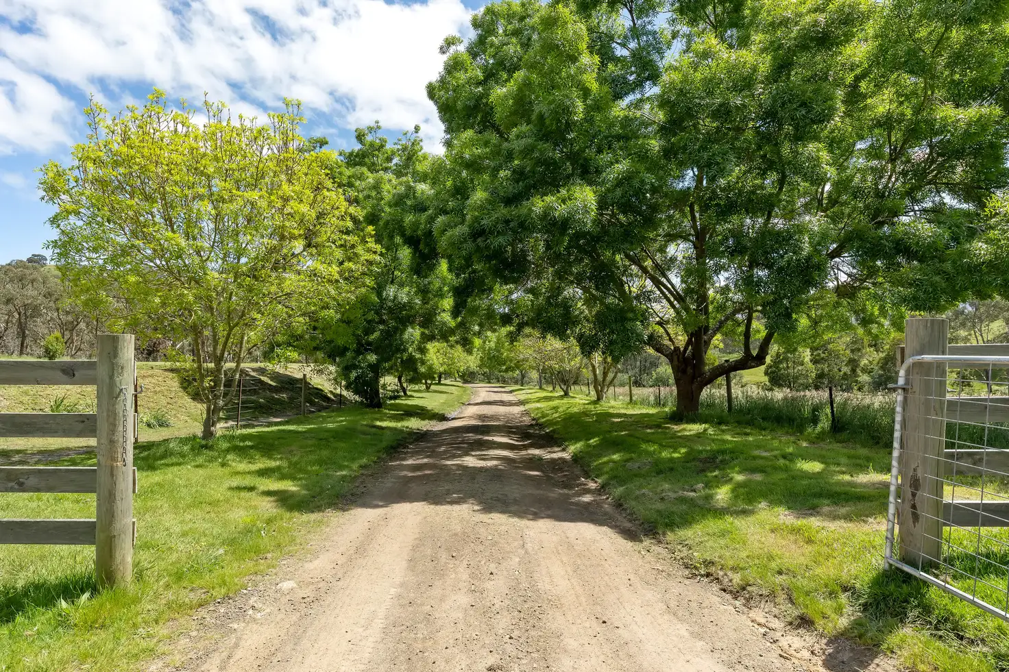 Main view of Homely house listing, 375 Reedy Creek Road, Reedy Creek VIC 3658