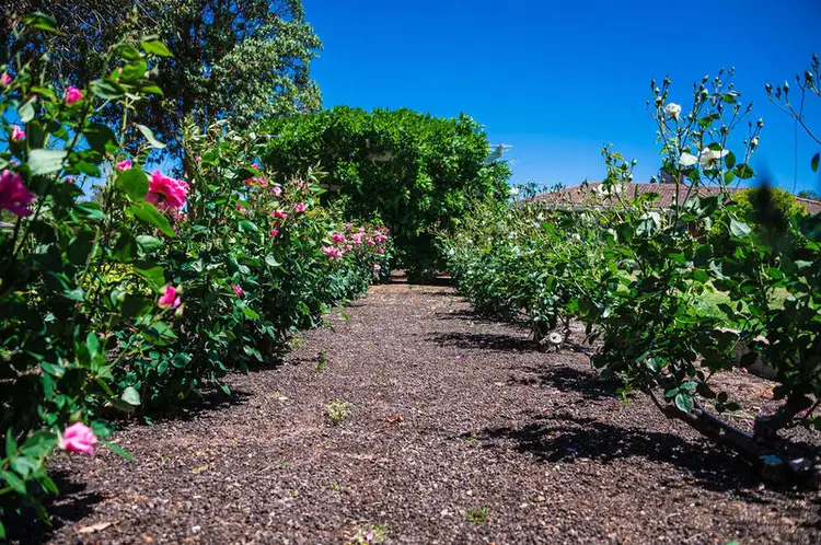 Third view of Homely house listing, 15 Ware Street, Wagin WA 6315