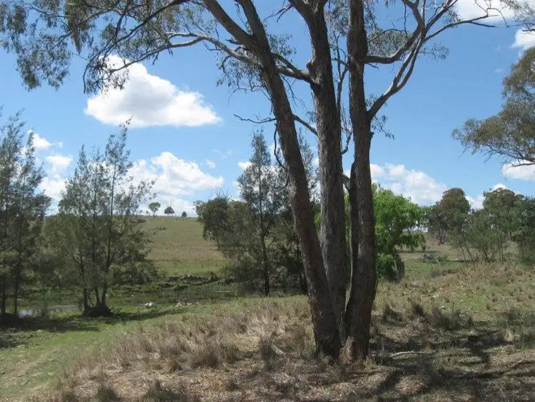 Second view of Homely rural property listing, 240 Halls Lane, Bukkulla NSW 2360