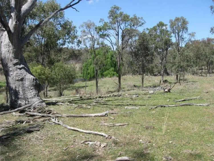 Fifth view of Homely rural property listing, 240 Halls Lane, Bukkulla NSW 2360