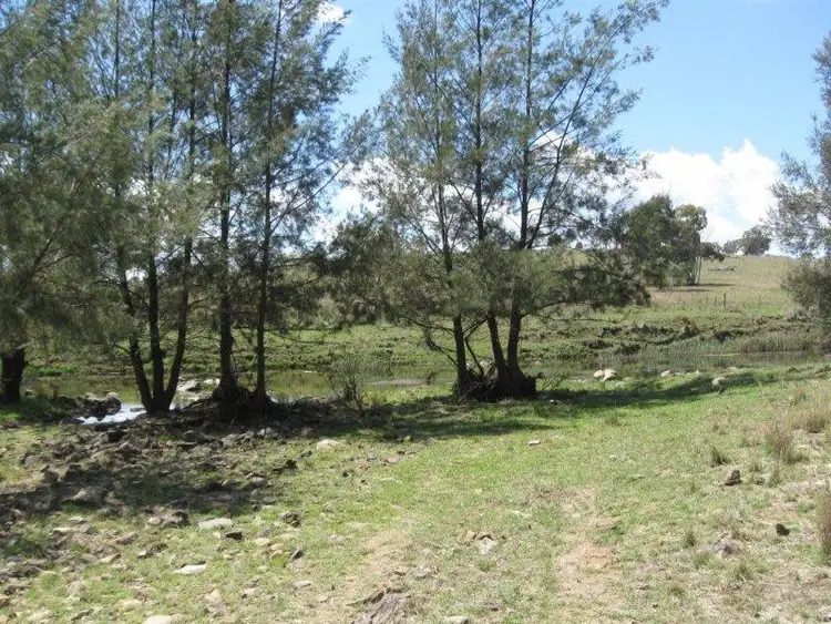 Sixth view of Homely rural property listing, 240 Halls Lane, Bukkulla NSW 2360