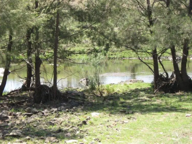 Seventh view of Homely rural property listing, 240 Halls Lane, Bukkulla NSW 2360