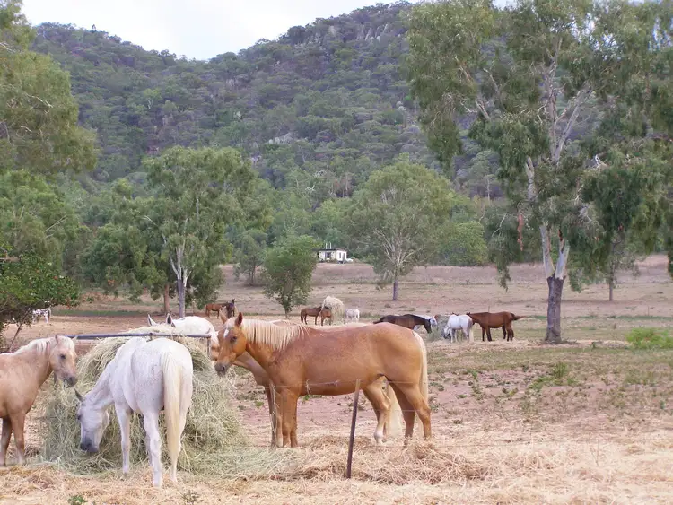 Second view of Homely land listing, 44 Gifford Street, Horseshoe Bay QLD 4819