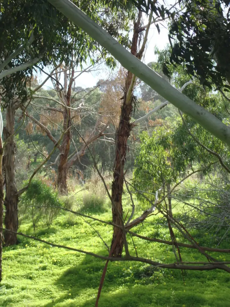 Sixth view of Homely land listing, Lot 27/21 Harrison Crescent, Yankalilla SA 5203