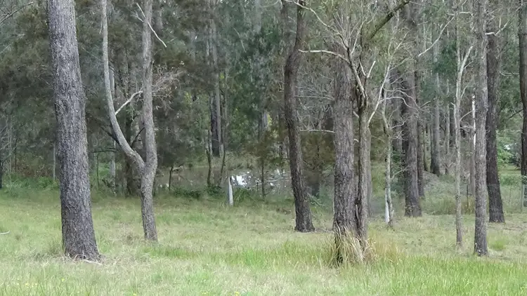 Third view of Homely land listing, 6 Homestead Heights Rd, Hallidays Point NSW 2430