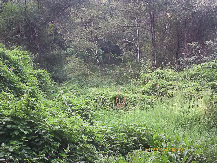Main view of Homely land listing, Lot 3 Mulvena Road, Larnook NSW 2480