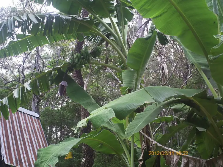 Second view of Homely land listing, Lot 3 Mulvena Road, Larnook NSW 2480
