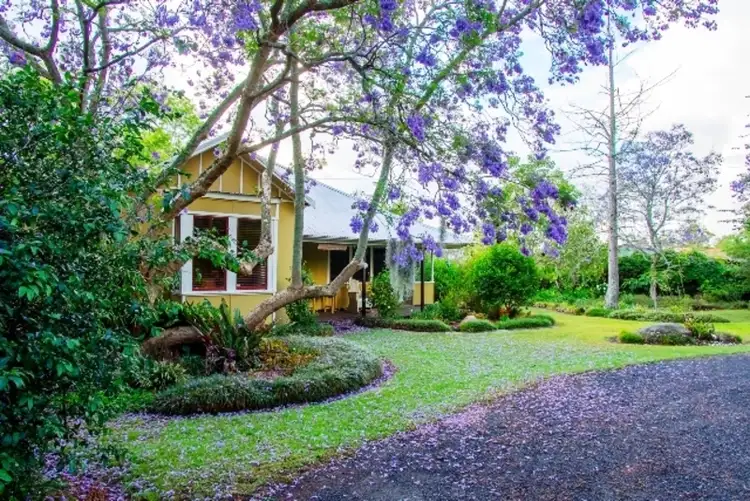 Main view of Homely rural property listing, 157 Bloodtree Rd, Mangrove Mountain NSW 2250