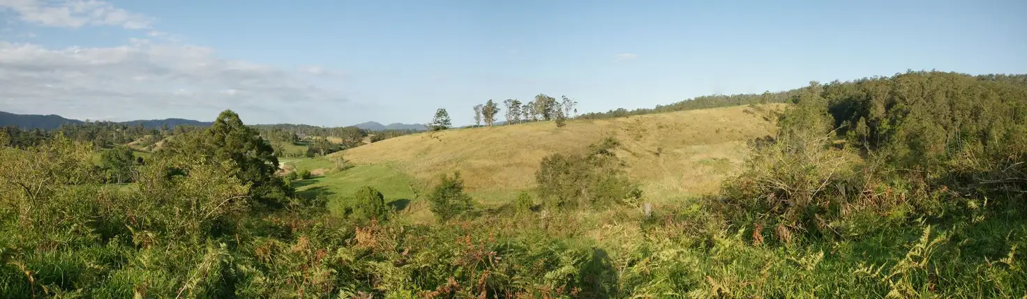 Main view of Homely land listing, Lot 21 Lower Buckrabendinni Road, Argents Hill NSW 2449