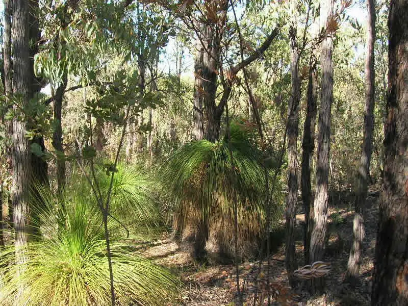 Main view of Homely land listing, 484 McKnoe Drive, Morangup WA 6083