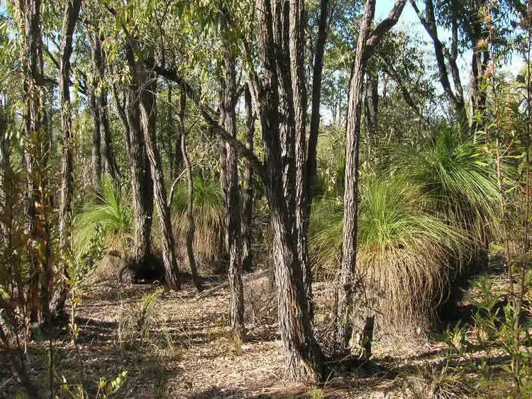 Seventh view of Homely land listing, 484 McKnoe Drive, Morangup WA 6083