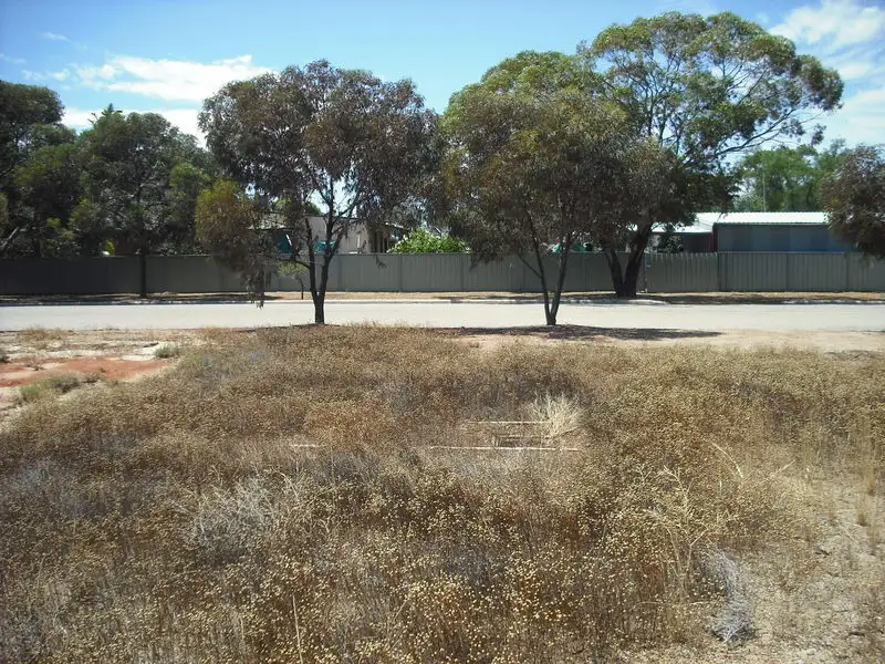 Main view of Homely land listing, 21 Railway Avenue, Nungarin WA 6490
