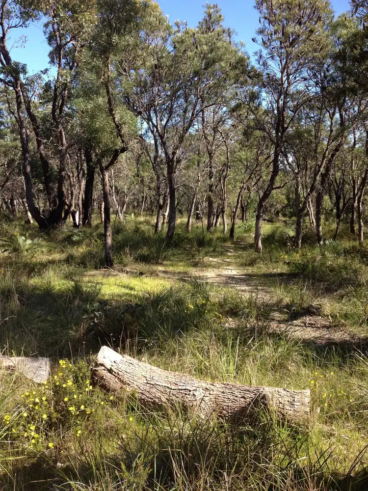 Lot 121 Woods Road, Gelorup WA 6230