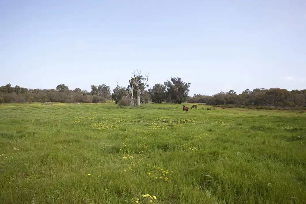 Main view of Homely land listing, 614 Forestry Rd, Uduc WA 6220