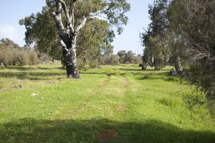 Fifth view of Homely land listing, 614 Forestry Rd, Uduc WA 6220