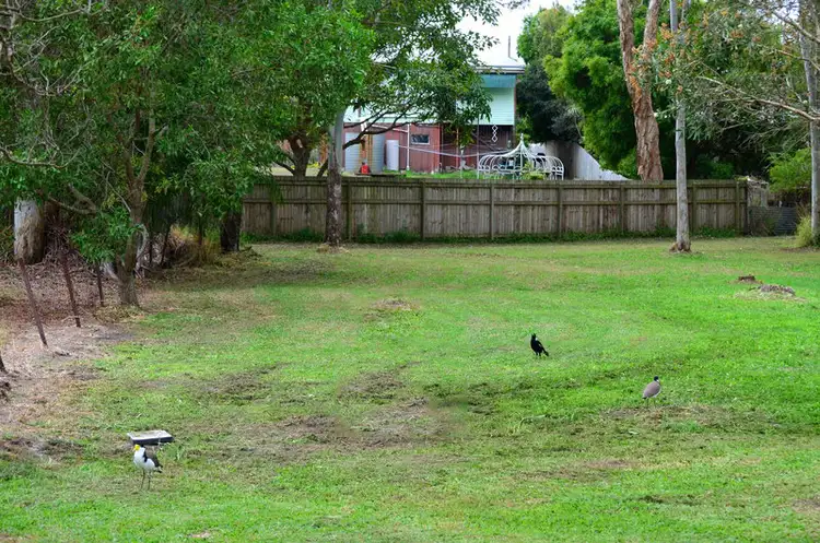 67 May St, Godwin Beach QLD 4511