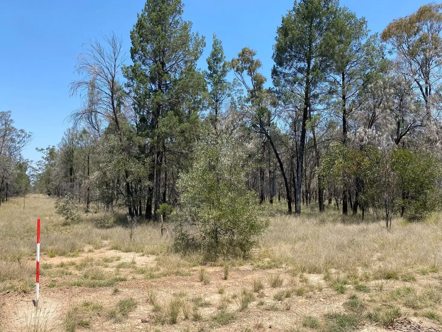 Main view of Homely rural property listing, 6 Treasures Road, Wieambilla QLD 4413