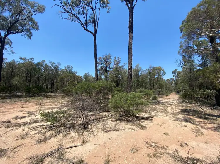 Third view of Homely rural property listing, 6 Treasures Road, Wieambilla QLD 4413