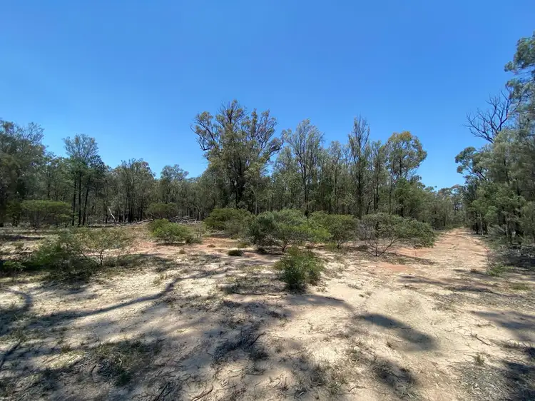 Fourth view of Homely rural property listing, 6 Treasures Road, Wieambilla QLD 4413