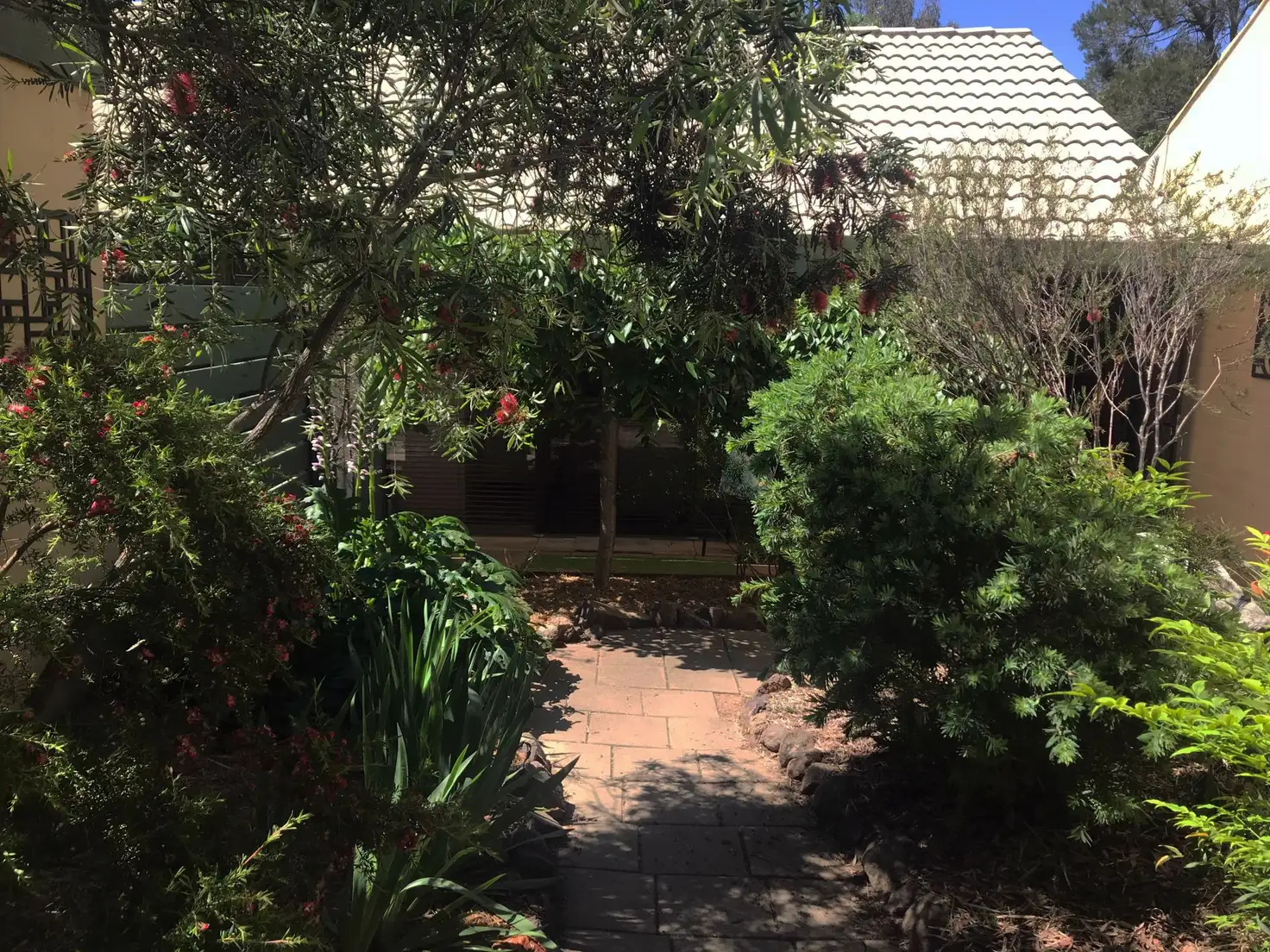 Main view of Homely unit listing, 8/5 Tristania Street, Rivett ACT 2611