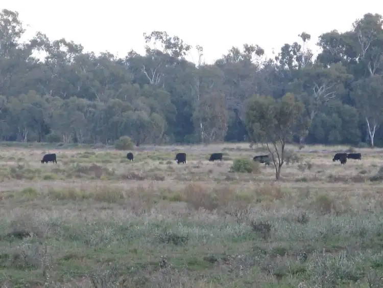 Fifth view of Homely rural property listing, Lot/182dp Lachlan Valley Way, Lake Cargelligo NSW 2672