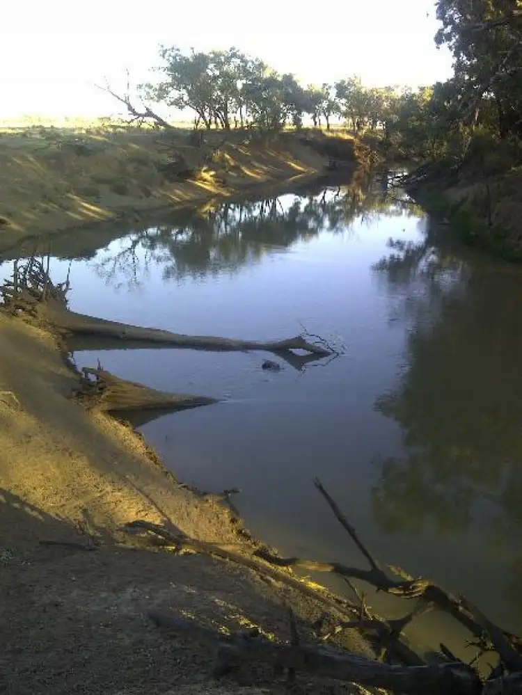 Seventh view of Homely rural property listing, Lot/182dp Lachlan Valley Way, Lake Cargelligo NSW 2672