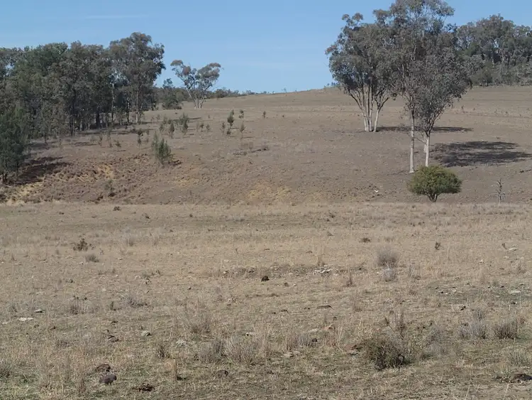 Main view of Homely rural property listing, Address available on request