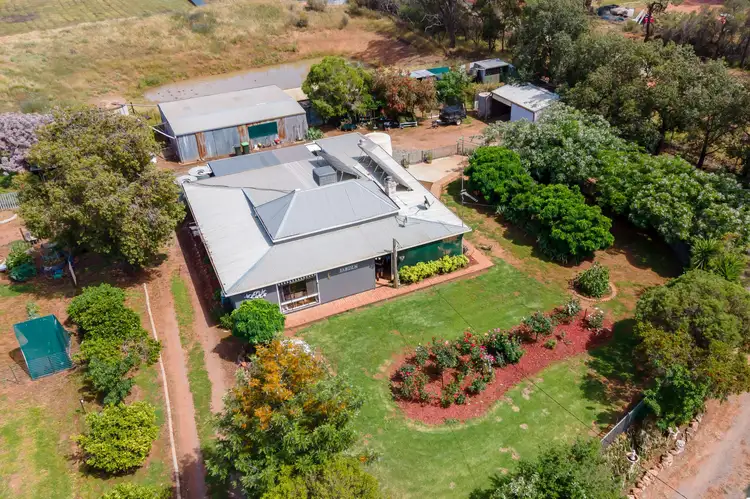2323 Millwood Road, Coolamon NSW 2701