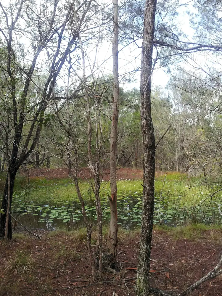 Fifth view of Homely land listing, 96 Wuduru Road, Cornubia QLD 4130