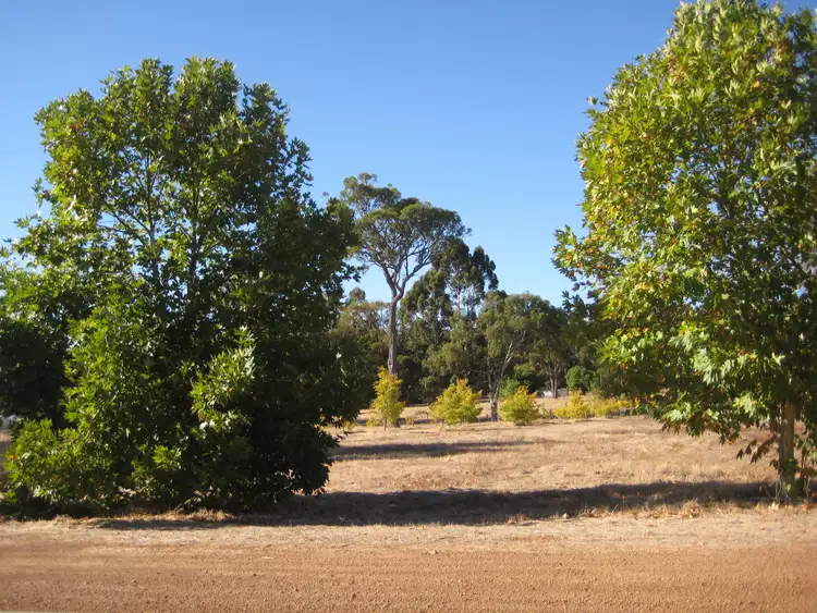 3 Balmoral Drive, Bridgetown WA 6255