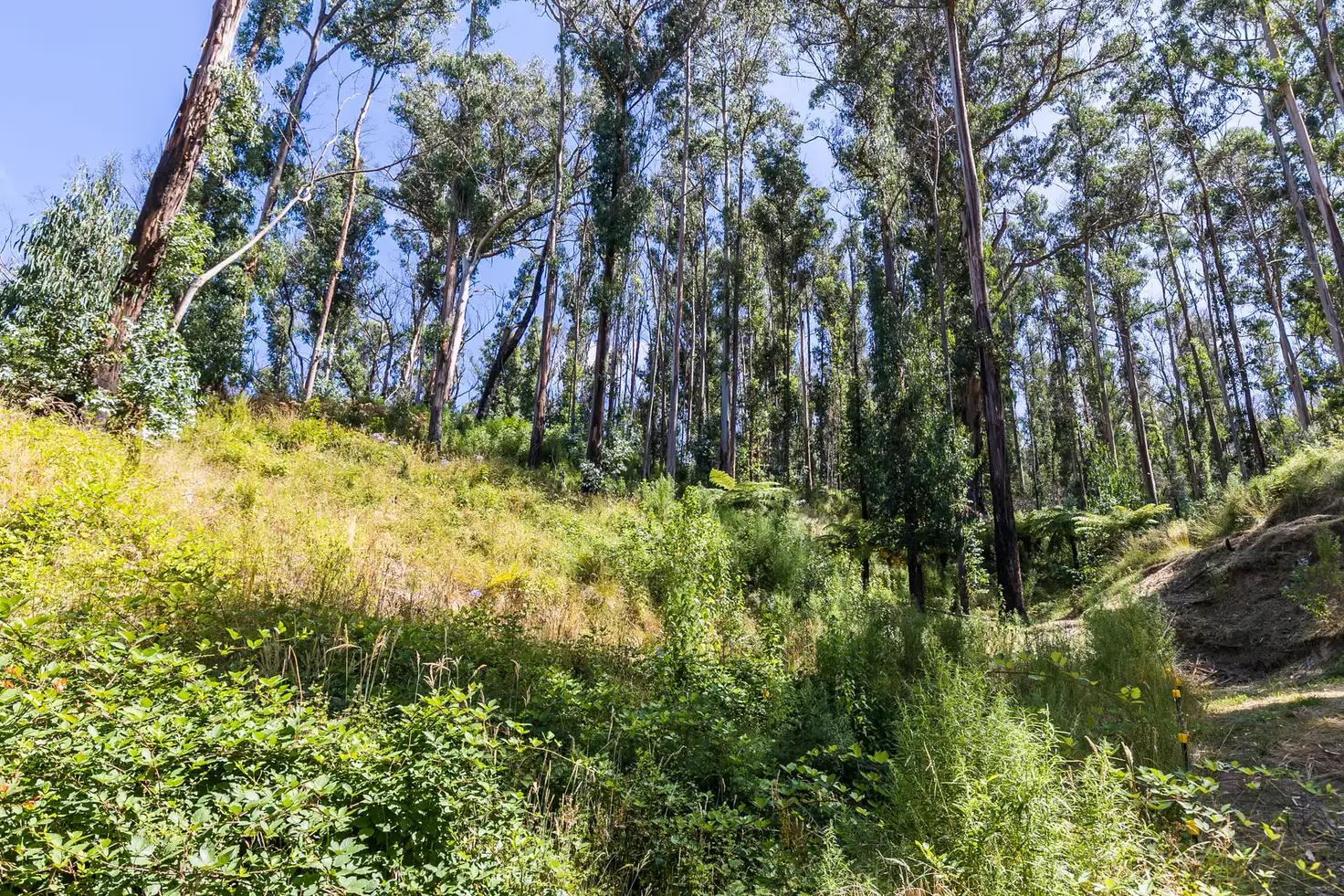 Main view of Homely land listing, 11 Karingal Drive, Wye River VIC 3234