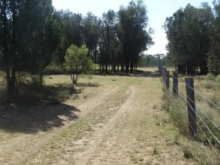 Main view of Homely rural property listing, 9 Crystal Creek Road, Kogan QLD 4406