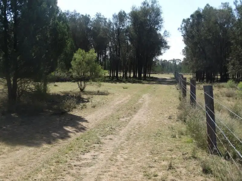 Main view of Homely rural property listing, 9 Crystal Creek Road, Kogan QLD 4406