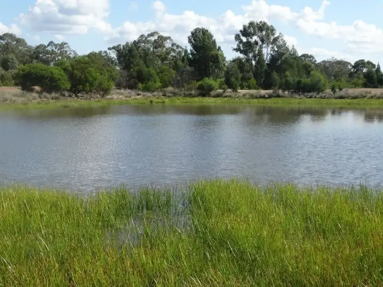 Fourth view of Homely rural property listing, 9 Crystal Creek Road, Kogan QLD 4406