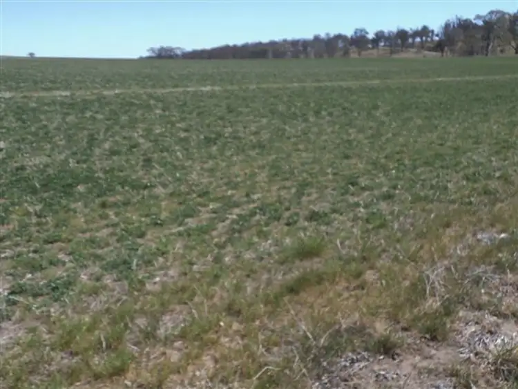 Fourth view of Homely rural property listing, Address available on request