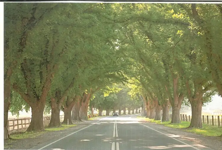 Sixth view of Homely land listing, 28 Manning Boulevard, Darley VIC 3340