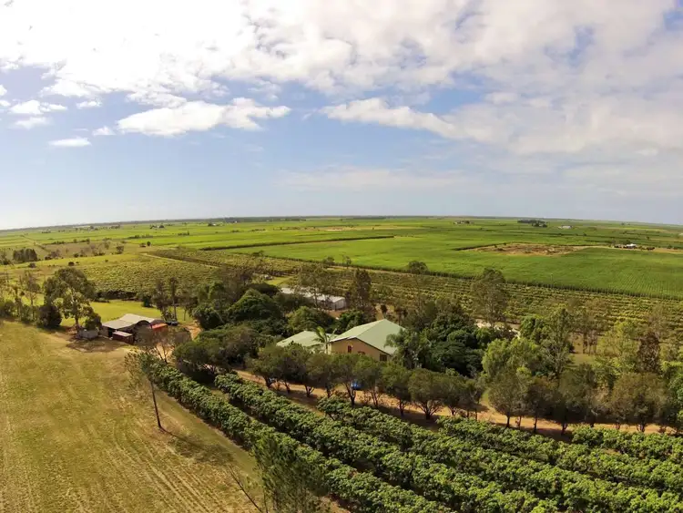 Main view of Homely rural property listing, 858 Gooburrum Road, Welcome Creek QLD 4670
