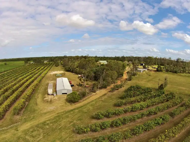 Second view of Homely rural property listing, 858 Gooburrum Road, Welcome Creek QLD 4670