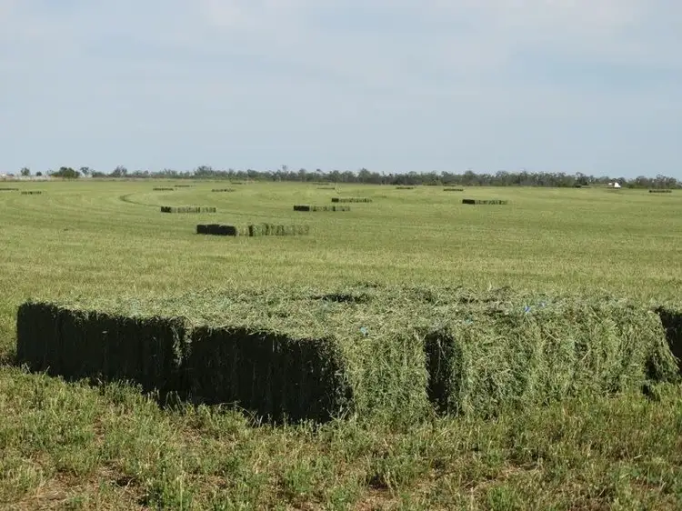 Third view of Homely rural property listing, Lot 18 Barkers Road, Chinchilla QLD 4413