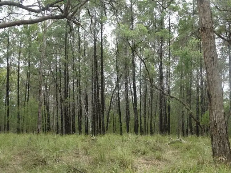 Fourth view of Homely rural property listing, Lot 1 Banana Bridge Road, Kogan QLD 4406