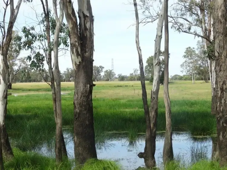 Sixth view of Homely rural property listing, 772 Wondai Road, Chinchilla QLD 4413