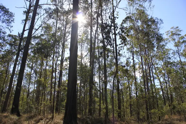 Lot 434 Arborfourteen Road, Glenwood QLD 4570
