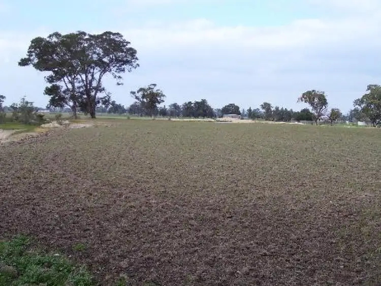 Third view of Homely rural property listing, 29 Hill Street, Toongabbie VIC 3856
