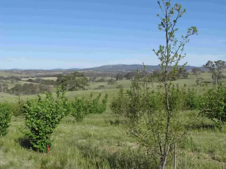 Seventh view of Homely rural property listing, Address available on request