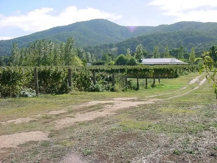 Fifth view of Homely rural property listing, 6300 Great Alpine Road, Eurobin VIC 3739
