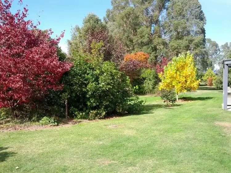 Sixth view of Homely rural property listing, 6300 Great Alpine Road, Eurobin VIC 3739