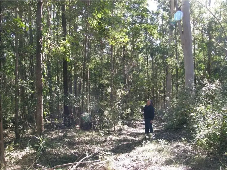 Third view of Homely rural property listing, Lot 1 Sunday Creek Road, Jimna QLD 4515