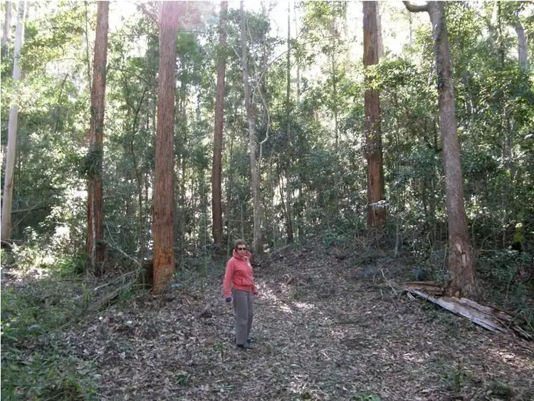 Fifth view of Homely rural property listing, Lot 1 Sunday Creek Road, Jimna QLD 4515