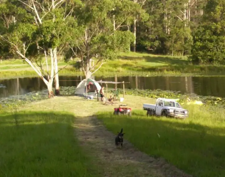 Seventh view of Homely rural property listing, 123 Williams Hill Road, Yarranbella NSW 2447