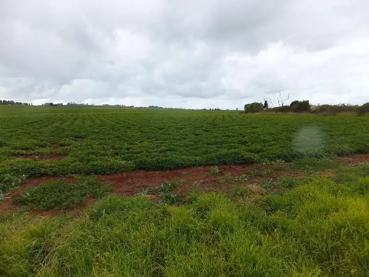 Sixth view of Homely rural property listing, Address available on request